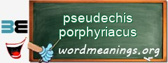 WordMeaning blackboard for pseudechis porphyriacus